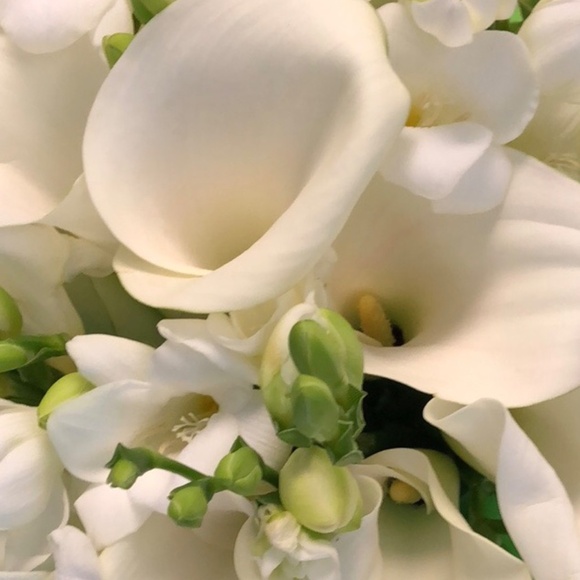 Meet your Posher, Vilma - Picture 3 of 7